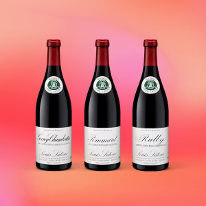 La Découverte des Trois Côtes - Louis Latour