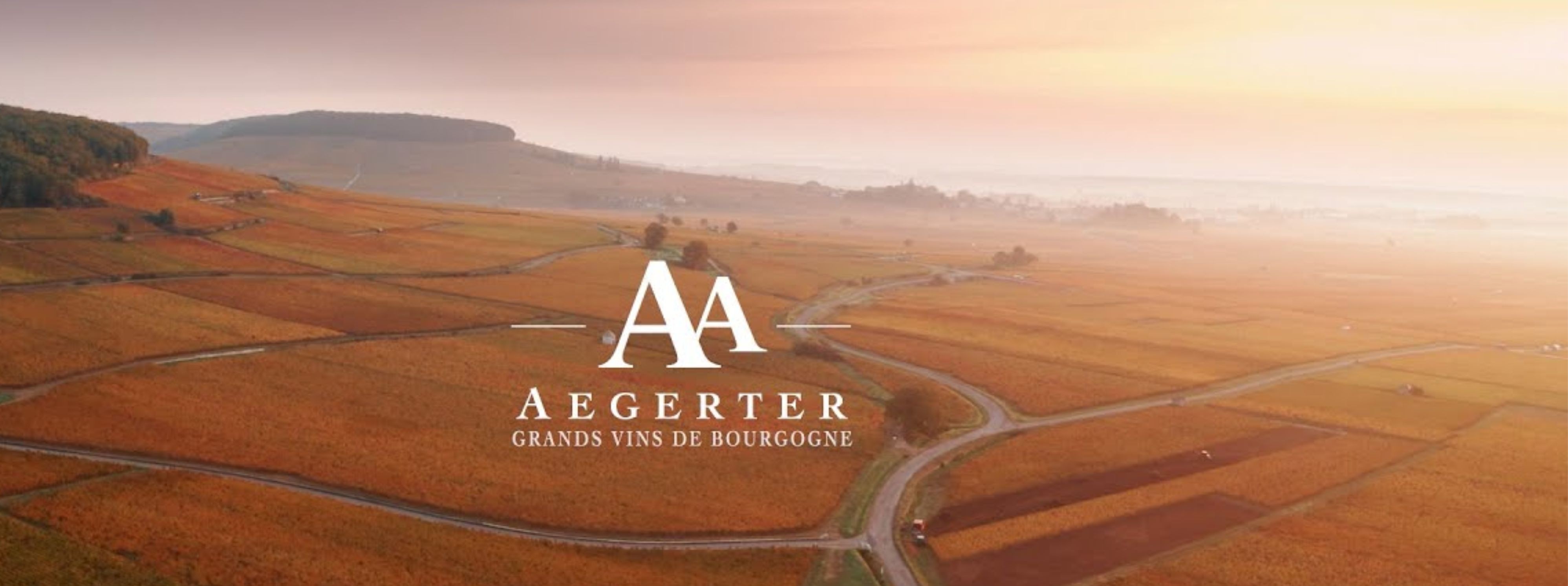 Domaine Aegerter 