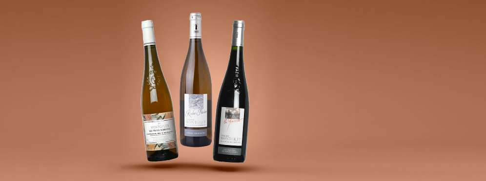 Domaine de Montgilet