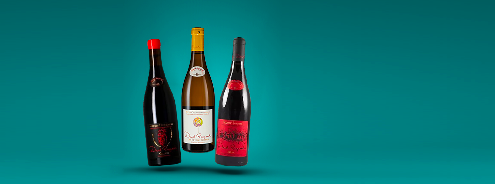 Domaine Les Bruyères - David Reynaud